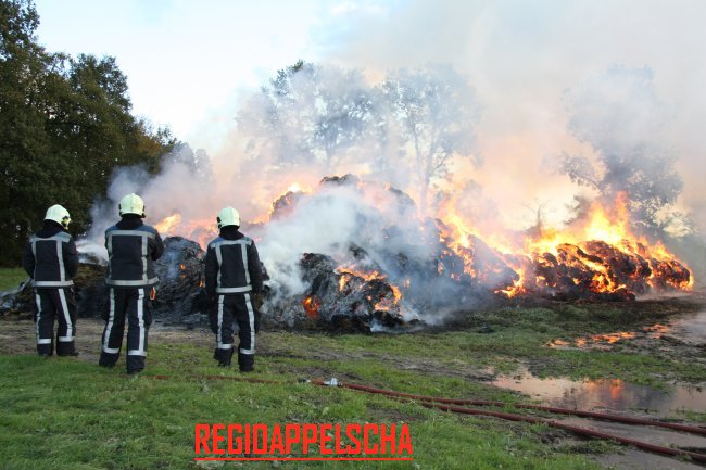 Regio Appelscha